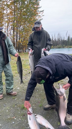 You fish? Go drift with Alaska perfect drift fishing. Now booking for 2026 @ akperfectdrift.com | Alaska Perfect Drift Fishing