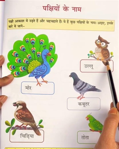 आओ सीखें पक्षियों के नाम