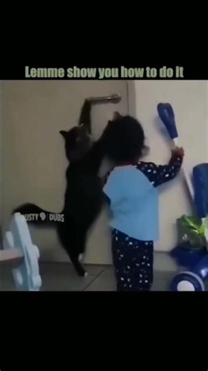 Funniest Animal Dubbing Ever! 😂🐾"