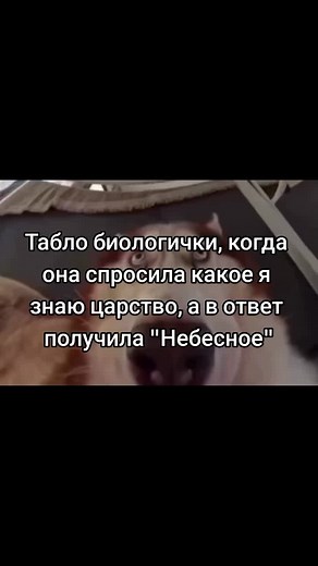 Смешные Биологические Мемы 2021: Царство Небесное