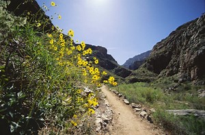 Slew of Great Hikes Within 45 Minutes of Rohnert Park — Take Your Pick!
