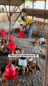 Kindly follow for more @highlight Ekow Simpson | Adu Ababio