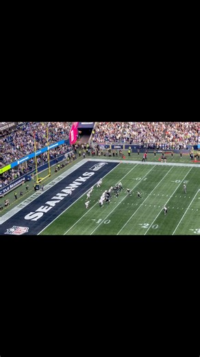 Seahawk Nation on Reels