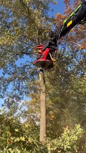 Snel en efficiënt bomen kappen dat is onze specialiteit ⚙️🌳 | Aannemerij & bomenrooierij P. Veenstra BV
