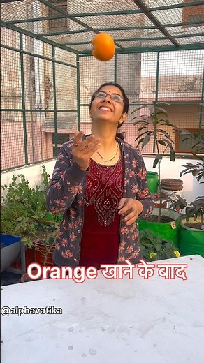 Best homemade organic pesticide #ytshorts #gardening #organic #homemade #tips