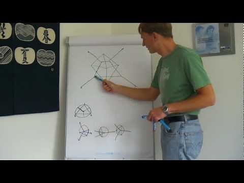 Vom Voronoi-Diagramm zur Delaunay-Triangulierung