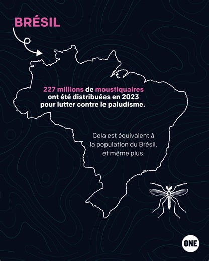 Le Fonds mondial a accompli un travail formidable ! 👀 Grâce à ses programmes, l'organisation engagée dans la lutte contre le sida, la tuberculose et le paludisme a réussi à sauver 65 millions de vies et réduire de 61 % le taux de mortalité combiné de ces trois maladies. Grâce aux interventions menées, 25 millions de personnes ont pu recevoir un traitement antirétroviral pour le VIH en 2023, soit presque l'ensemble de la population australienne. 🎗️ Le Fonds a aussi permis à 7,1 millions de pers