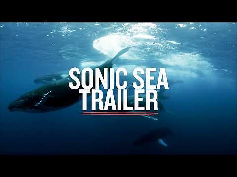 Sonic Sea l Trailer