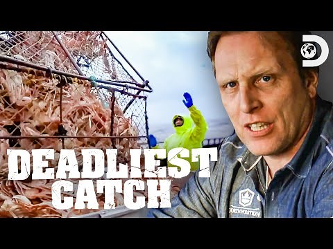 Most Massive Crab Hauls | Deadliest Catch | Discovery