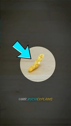 Is the 5 Second Rule Actually Real?