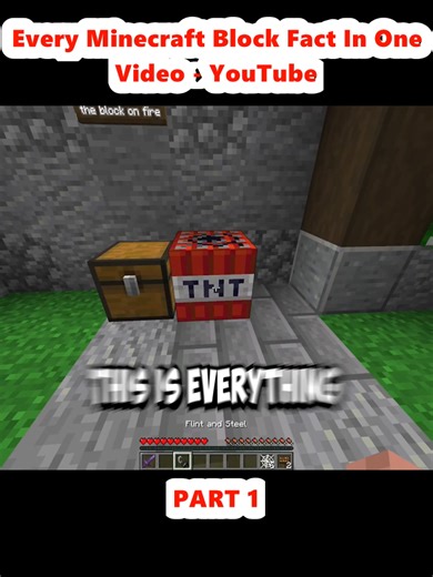 Every Minecraft Block Fact In One Video - YouTube (1) | minecraft