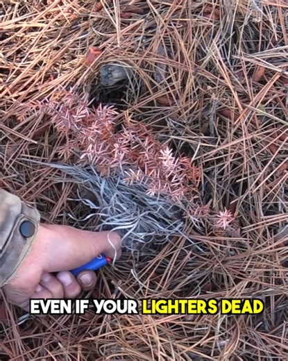 Fire Starting Tutorial Using a Dead Lighter