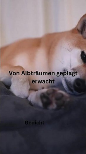 Geträumt | Gedicht #vorgelesen