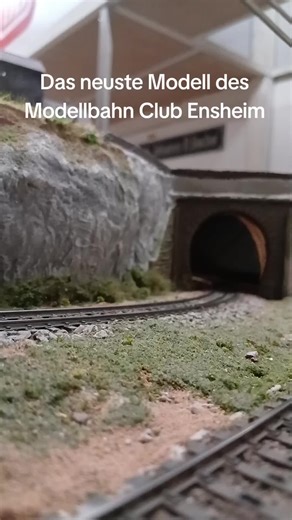 Modellbahn H0: Schweineschnäuzchen im Club Ensheim