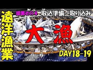 [Operation 4] [Big catch!!] Taking the fish onto the boat