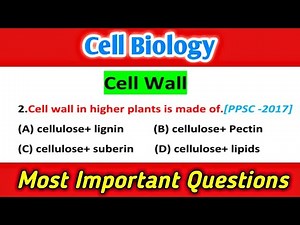 Cell Wall mcq - cell mcq questions- cell mcq questions and answers - biology mcqs
