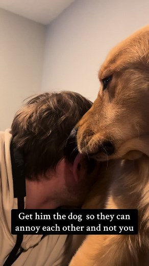 Dogs Annoying Each Other: Hilarious Pet Moments