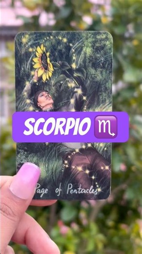 Scorpio ♏️ it is time to start something 🆕 leave the past behind 🔖🪻 #scorpions