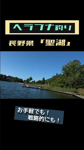避暑地信州で楽しむ「夏のヘラブナ釣り」