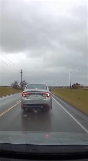 117K views · 617 reactions | ⚠️ GRAPHIC CONTENT WARNING: Unbelievable...