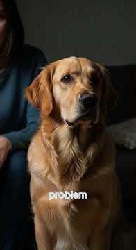 That Clingy Behavior? Your Dog Might Be Scared to Be Alone #doganxiety #dogcare #shorts