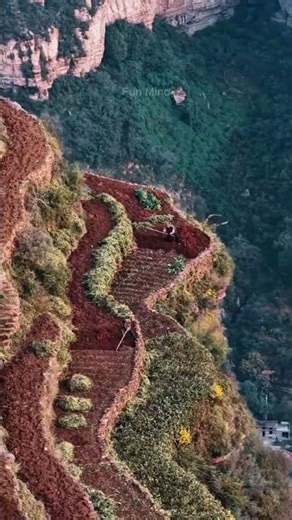 Extreme Cliff Farming in China 😱 | The Most Dangerous Agriculture on Earth