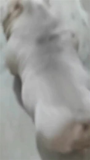 James Cosby on Reels