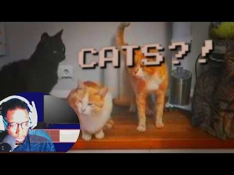 So many cats.. SCP-795 - Reality-Bended Cat! REACTION!!!