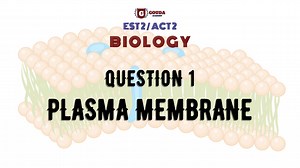 EST 2 Biology Super Revision Question 1: Plasma Membrane د. سارة بتحل سؤال هام جدا. لحضور مراجعة البايولوجي المجانية الرجاء إرسال رسالة | Gouda SAT
