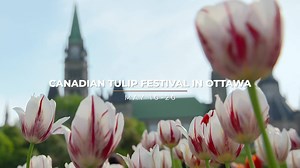Refreshing ways to spend a few days. See a million tulips in bloom May 10-20 in Ottawa. | Ottawa Tourism