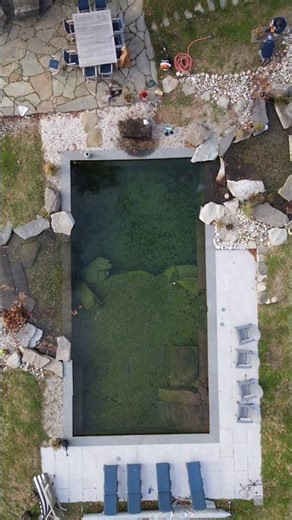 Sleek Pond Build - Recreation Pond Meets Modern Pool Design