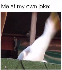 114K views · 1.2K reactions | Me:  Buy any 2 canvas frames & get one free ❌PERFECT FOR XMAS ❌ | Urban Print & Embroidery | Facebook