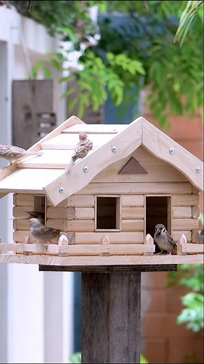 Build a COZY Log Cabin Bird Feeder Today!