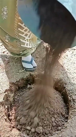 Secret Soil Hack: The "Trench Compost" Method for Huge Harvests! 🌱✨ #shorts
