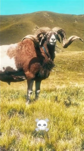 This Small Creature Turns Into a Monster