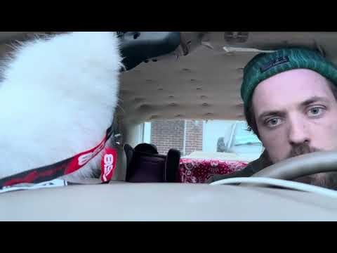 alpine x-w12d4 hittin them lows