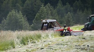 A la découverte de l'agriculture de montagne lors de la fenaison au Laisinant | Radio-Tv Val d'Isère