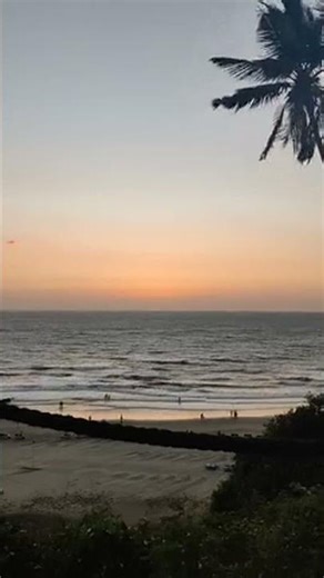 Top 5 Hidden Coastal Beach Bars in Mexico Serving Local Craft Beers