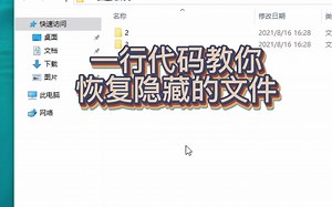 一行代码教你恢复隐藏的文件