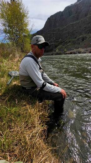 Red's Fly Shop on Instagram: "Tip of the Week // Let the Rise Tell You the Fly From Jason Harwood, Director of Education at Red’s Fly Shop As students of the game of fly fishing, we are always challenged to read the water. When dry fly fishing we teach that you also need to read the fish and how they are eating. Want to know what fly to tie on? Watch how the trout are eating. Their rise forms give you clues: Soft, quiet sip? That’s usually a trout delicately slurping mayflies or spinners right i