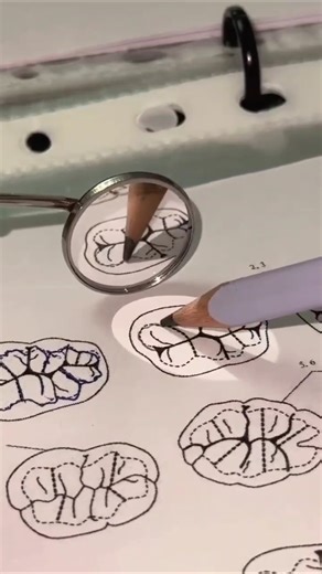 Learning indirect vision using a mirror 🦷مهارة أساسية لطلاب طب الأسنان #dental #dentistry #dentist