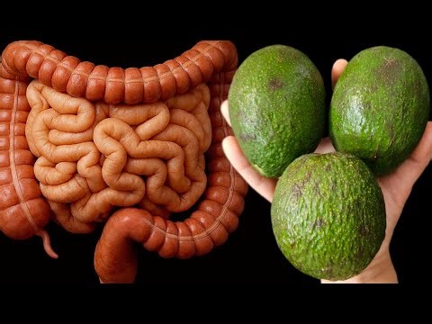 💥 Darm, Darm, Darm! Reinige deinen Darm und der ganze Schmutz kommt raus!🔥