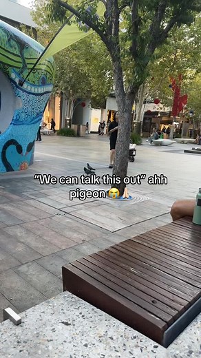 Understanding Pigeon Behavior and Social Interactions