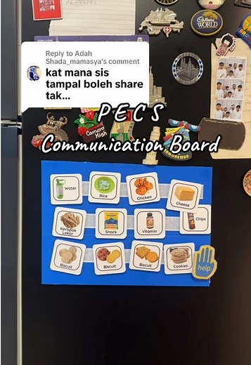 Understanding PECS Communication Boards for Autism