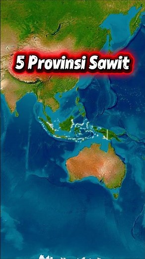 5 Largest Palm Oil Provinces in Indonesia 🌴 Riau is the Champion! Is Indonesia Getting Richer?