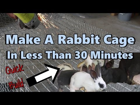 Build A Rabbit Cage In 30 Minutes Or Less