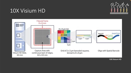 Spatial Transcriptomics Technologies - January 2025 (1 of 9) [1080p]