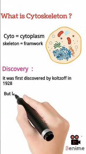 what is cytoskeleton?