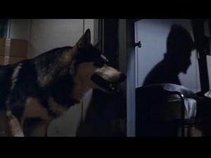 TheThing 遊星からの物体X