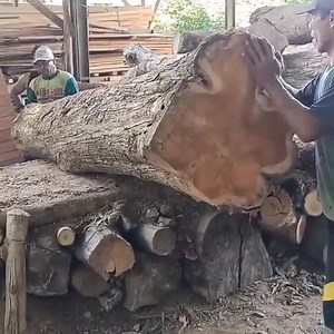 8M views · 33K reactions | Sawmill Operation so awesome | Kitchen Craft & DIY | Facebook